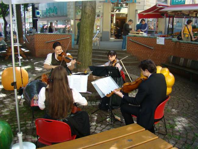 Streichquartett Kutschkermarkt